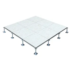 Data Center Hpl Verstelbare Volledige Staal Cement Verhoogde Vloer Systeem/Verhoogd Toegang Computer Floor