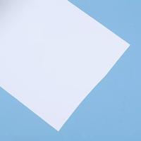 Rouleau de feuille de plastique polypropylène blanc, matériaux résistants à la chaleur, film PP pour thermoformage