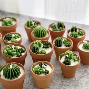 Personnalisé de haute qualité créatif plante paysage parfum bougie de luxe mini succulente parfumée cire de soja désert bougies de <span class=keywords><strong>cactus</strong></span> - Product Image 5