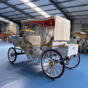 Precios Increíbles, Nuevo Diseño, Vehículo Eléctrico de Turismo de 4 Ruedas, Transporte Especial, Vehículo de Viaje, Vehículo Clásico de Turismo en Venta - Product Image 2