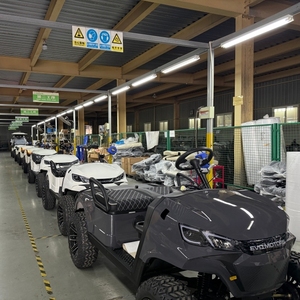 Voiturette de <span class=keywords><strong>golf</strong></span> électrique Lexsong, livraison directe de l'usine - Product Image 4