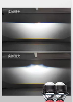 Kus led renard à neuf queues