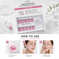 Sérum Visage Hydratant, Raffermissant et Anti-Âge à l'Acide Hyaluronique et aux Peptides, en Poudre Lyophilisée avec Micro-aiguilles Éponge – Vente en Gros