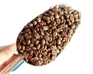 PREMIUM 100% ARABICA GREEN COFFEE BEANS RAW UNROASTED BULK SUPPLY FOR ROASTERS - Product Image 1