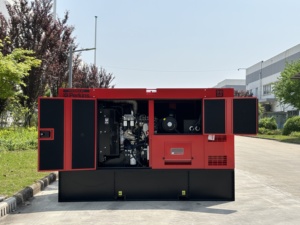 Groupe électrogène insonorisé 20kw 30kw 40kw 50kw 60kw 70kw 80kw 90kw 100kw Triphasé Générateurs Silencieux - Product Image 4