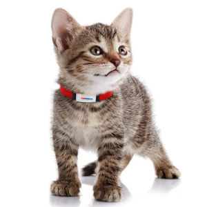 Collar de perro y gato personalizado para mascotas pequeñas con Material de gamuza suave Logotipo de grabado personalizado <span class=keywords><strong>XXS</strong></span> XS y S tamaños pequeño Collar para mascotas - Product Image 5