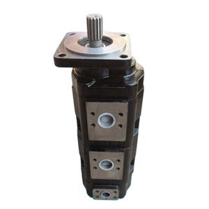 ปั๊มไฮดรอลิกแบบลูกสูบ TA1919, ปั๊มไฮดรอลิกคู่ TA1919 สำหรับเครน - Product Image 4