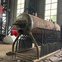 Chaudière industrielle à biomasse et paille de 6 tonnes DZL à alimentation automatique par chaîne mécanique