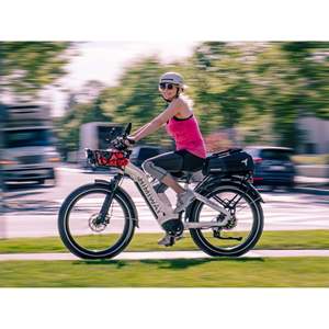 Vélo électrique tout-terrain D5 (Zebra) Premium, autonomie 60 km, 48V 350W, avec moteur roue arrière pour la conduite tout-terrain, multicolore Zebra Pre - Product Image 1