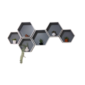 Étagères murales flottantes, présentoirs suspendus, cadres de Photos à collectionner, plantes, vente en gros, ensemble personnalisé de 3 étagères en bois nid d'abeille - Product Image 2