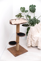 Meuble d'arbre d'escalade pour chat en bois massif multicouche moderne avec planche à gratter élégante cadre d'escalade pour chat griffoir pour chat