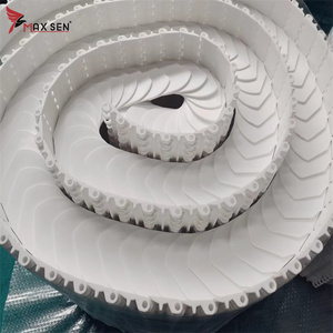 Maxsen MX100(QNB) plastik modülü kemer konveyör sistemi için rekabetçi fiyat ile - Product Image 6