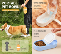 Bol portable pour animaux de compagnie 2 en 1, bol à eau et à nourriture pour chien, bol de voyage pliable pour chiens et chats, promenade en plein air