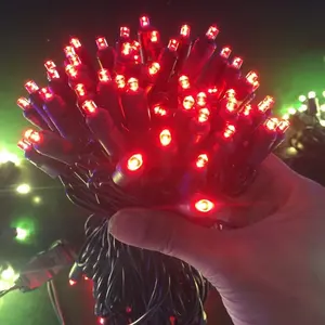 商用グレードLED5mmミニウォームホワイトクリスマスストリングライト、凹型ミニ電球付き