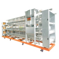 Vente Chaude Cage Automatisée pour Poules Pondeuses Équipement d'Élevage Avicole Batterie de Cages pour Ferme Avicole