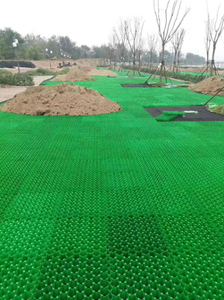 Plastic Grasbestrating Voor Oprit Of Parkeerplaats - Product Image 5