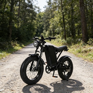 Vélo électrique tout-terrain professionnel à double moteur et pneus larges avec <span class=keywords><strong>suspension</strong></span> pour les trajets sur terrains accidentés - Product Image 1