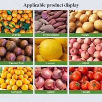Sorteermachine Sorteerder Fruit Mango Citroenguave Kardemom Wash Waxen Productielijn Voor Kiwi