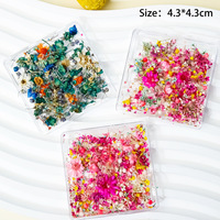 Décorations d'ongles 3D en relief pour femmes, mini-fleurs séchées naturelles, colorées, pour l'été, à faire soi-même