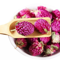 Teh Bunga Gomphrena Globosa Ungu Kering Berkualitas Tinggi Grosir, Teh Rasa Bunga Amaranth Ungu Alami