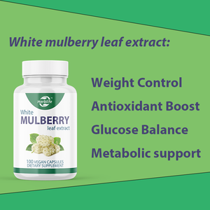OEM ODM 화이트 뽕나무 잎 추출물 캡슐 항산화 체중 조절 대사 지원 포도당 밸런스 글루텐 프리 NO-GMO - Product Image 3