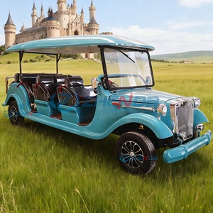 Carro de Golf Eléctrico de Alta Calidad, Estilo Vintage, Retro, Clásico, Vehículo Turístico en Venta - Product Image 1