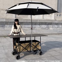 Chariot pliant à usage de stand, chariot à main pour la vente ambulante, le camping, avec hauteur réglable, roues tout-terrain extensibles et plateau.