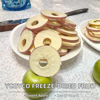 FD Fruit Gefreeze-droogde Groene Appelschijfjes