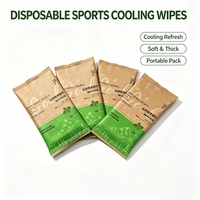 Lingettes rafraîchissantes jetables XL personnalisées avec logo thermoscellé pour le corps, lingettes humides non tissées pour l'hygiène sportive en extérieur