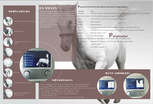 Dispositivo de alivio del dolor Eswt Shockwave Machine para uso en centro de rehabilitación equina - Product Image 4