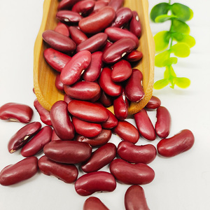 Offre Spéciale NOUVELLE CULTURE Haricots rouges foncés - Product Image 4