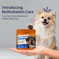 Beiyuan Dog Multivitamin Soft Chews OEM Supplément pour le soutien des articulations, de la peau et du système immunitaire - Compléments alimentaires