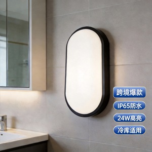 Lampe murale LED étanche ovale 24W 220V avec base en aluminium pour salle de bain, extérieur et entrepôt frigorifique - Product Image 1