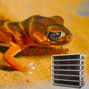 2025 Neues intelligentes Heizsystem für die Temperatur regelung aus PVC Tierhaus Gecko Rahmen Schlangen eidechse Tank Reptilien farm - Product Image 1