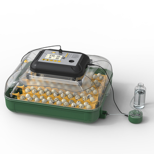 Ferme avicole incubateurs à œufs éclosoir capacité 30 œufs <span class=keywords><strong>machine</strong></span> à couver les œufs de <span class=keywords><strong>poussin</strong></span> - Product Image 3