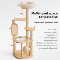 Arbre à chat et structure d'escalade en chêne massif, best-seller, avec griffoir vertical intégré, design peu encombrant pour chats