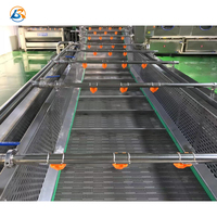 Industrie Automatische Vortex Bubble Wasmachine Fruit/Groente Wasmachine Lijn Met Bubble