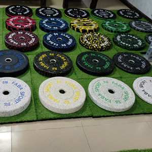 Discos de Goma de Alta Calidad, Duraderos y de Tamaño Pequeño, Coloridos, para Equipamiento de Gimnasio en Áreas de Entrenamiento de Fuerza - Product Image 1