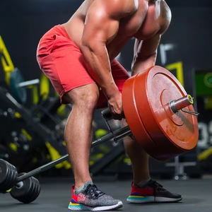 ZJFIT V Bar T-Bar Row Landmine Handle Attachment Barbell Bars Solid Mine Double D Row Handle Grips avec poignées en caoutchouc antidérapantes - Product Image 2