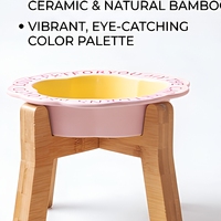 Bols en céramique solides portables surélevés pour petits chiens et chats, ensemble de supports inclinés pour aliments et eau, écologiques, pour usage extérieur
