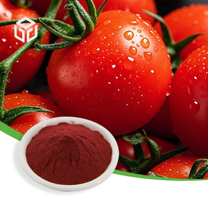 Extrait de tomate pur naturel en poudre, 10% de lycopène, fourni par l'usine - Product Image 1