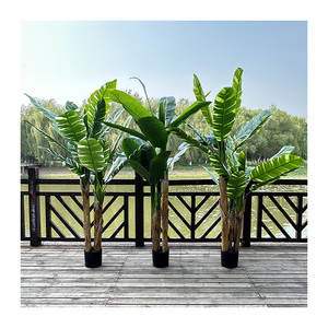 <span class=keywords><strong>Bananier</strong></span> QYYM-526 - Product Image 6