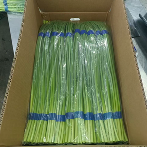 Pousses d'<span class=keywords><strong>ail</strong></span> frais directement de l'usine 35-45cm 5kg/10kg/12kg Carton <span class=keywords><strong>Ail</strong></span> frais en gros Prix de gros Prêt à l'exportation - Product Image 2