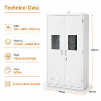 Armoire de sécurité pour bouteilles de gaz de laboratoire, casier de stockage en acier avec fenêtre d'observation ventilée pour laboratoire de recherche