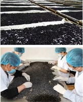 Hoge Kwaliteit Biologische Chinese Zwarte Goji Berry Natuurlijke Gedroogde Fruit Thee Zwarte Wolfberry