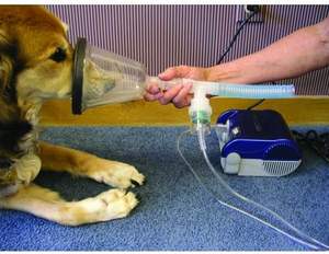 <span class=keywords><strong>Masque</strong></span> d'anesthésie médical en PVC MT-MEDICAL, appareil d'anesthésie portable <span class=keywords><strong>pour</strong></span> petits animaux, <span class=keywords><strong>pour</strong></span> chiens et chats - Product Image 4