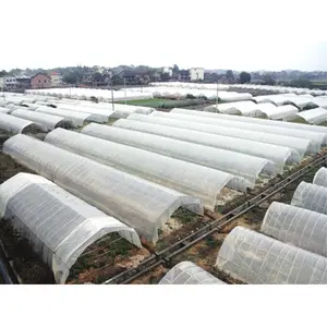 Galvanized Pipe Structure Pest Control Greenhouse