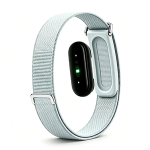 Correa de nailon a precio económico para pulseras Google <span class=keywords><strong>Fitbit</strong></span> Air, correas de repuesto ajustables con cierre de gancho y bucle, fábrica mayorista de China - Product Image 2