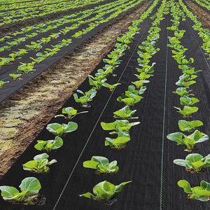Toile anti-herbe perforée en <span class=keywords><strong>PP</strong></span> noir, pliable, coupe-vent, facile à nettoyer, pour l'horticulture, l'agriculture et le désherbage des vergers - Product Image 3