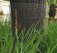 Maille de fil métallique soudée galvanisée à chaud, durable et facile à installer, conçue pour l'élevage de poulets et de canards